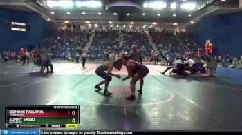 195 lbs Champ. Round 2 - Sonny Sasso, Nazareth vs Dominic Pallaria, Timberlane