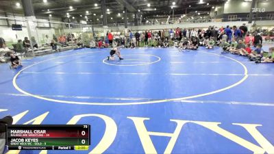 75 lbs Round 3 (6 Team) - Marshall Cisar, RALEIGH ARE WRESTLING vs Jacob Keyes, GREAT NECK WC - GOLD