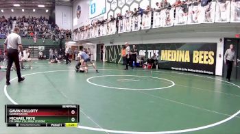 113 lbs Semifinal - Michael Frye, Columbia (Columbia Station) vs Gavin Culloty, Clarkston (MI)