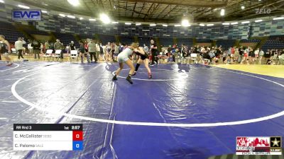 95-105 lbs Rr Rnd 3 - Cassidy McCallister, Sebolt Wrestling Academy vs Chaya Palomo, Salem Elite Mat Club