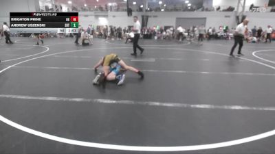 106 lbs Round 1 (6 Team) - Andrew Uszenski, Team Shutt vs Brighton Prine, Ohio Gold