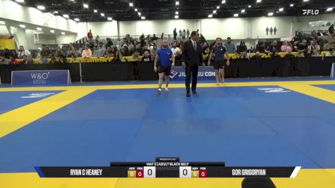 Gor Grigoryan vs Ryan C Heaney 2025 World IBJJF Jiu-Jitsu No-Gi Championship