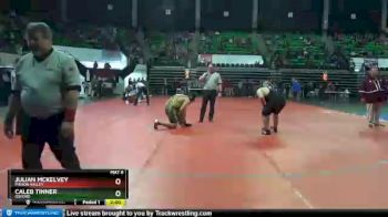 285 lbs Champ. Round 2 - Julian Mckelvey, Pinson Valley vs Caleb Tinner, Oxford