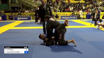 DANIEL H PENG vs LUIZ GUSTAVO FERREIRA C. 2024 World Jiu-Jitsu IBJJF Championship