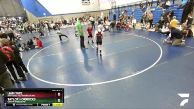 83 lbs Champ. Round 1 - Liam Tate, Highland Youth Wrestling vs Taylor Horrocks, Uintah Wrestling