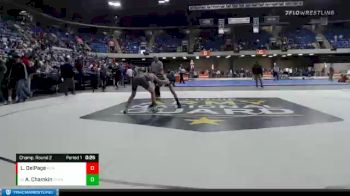 101 lbs Champ. Round 2 - Andrew Chamkin, Stevenson vs Louie DelPage, Plainfield North