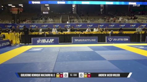 Andrew Jacob Wilcox vs Guilherme Henrique Maltauro M. C 2026 Pan Jiu Jitsu IBJJF Championship