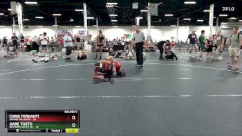 165 lbs Round 5 (6 Team) - Gabe Tosto, Orchard South WC vs Chris Ferranti, Savage WA White