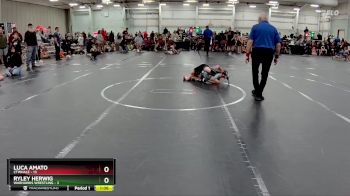 64 lbs Round 5 (8 Team) - Luca Amato, CTWHALE vs Ryley Herwig, Warhawks Wrestling