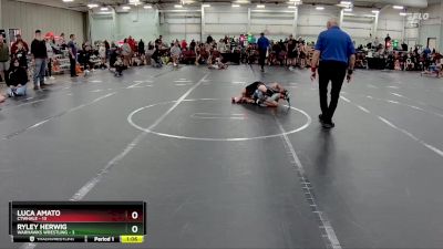 64 lbs Round 5 (8 Team) - Luca Amato, CTWHALE vs Ryley Herwig, Warhawks Wrestling