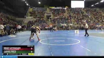 195 lbs Quarterfinal - Carsen Mertz, Harvey/Wells County vs Brady Lettenmaier, LaMoure-Litchville/Marion