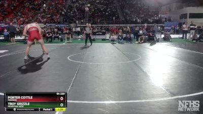 5A 220 lbs Semifinal - Troy Grizzle, Mountain View vs Porter Cottle, Madison