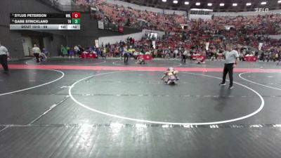69 lbs Cons. Round 4 - Sylus Peterson, Weigh In Club vs Gabe Strickland, Team Nazar