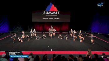 Designer Athletics - CHAN3L [2025 L3 Junior - Small Semis] 2025 The Summit