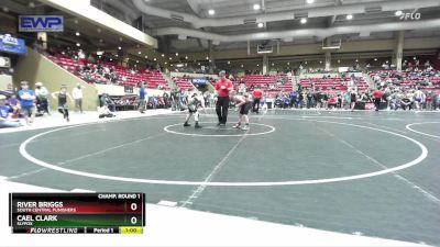 88 lbs Champ. Round 1 - River Briggs, South Central Punishers vs Cael Clark, Slyfox