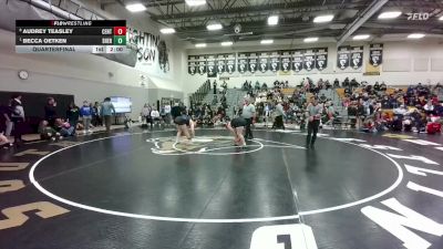 190 lbs Quarterfinal - Becca Oetken, Sheridan vs Audrey Teasley, Central