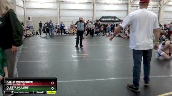 110 lbs Round 3 (4 Team) - Olesya Mullins, MI Pitbulls vs Callie Weisgerber, Metro All Stars