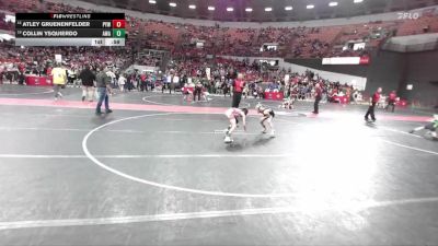 73 lbs 3rd Place Match - Collin Ysquierdo, Askren Wrestling Academy vs Atley Gruenenfelder, Pec-Argyle Youth Wrestling