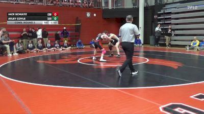 138 lbs Cons. Round 3 - Jace Schultz, Cedar Rapids Washington vs Atley Coyle, Xavier, Cedar Rapids