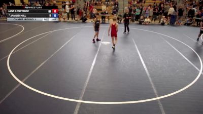 86 lbs Champ. Round 1 - Jase Lesetmoe, MN vs Jameis Hill, IA