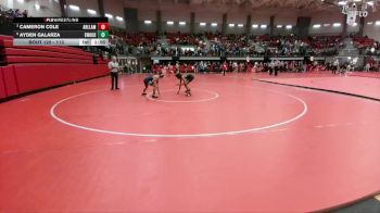 113 lbs Quarterfinal - Cameron Cole, Arlington Lamar vs Ayden Galarza, Eastwood
