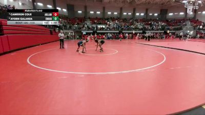 113 lbs Quarterfinal - Cameron Cole, Arlington Lamar vs Ayden Galarza, Eastwood