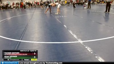 Elite 141 lbs Cons. Semi - Ryan Wehner, Upper Iowa vs Tucker Ginther, Rochester Community & Tech. College