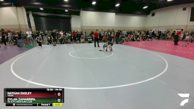 54-55 lbs Round 3 - Dylan Zamarripa, NB Elite Wrestling Club vs Nathan Ensley, Texas