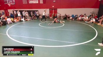 118 lbs Round 2 (6 Team) - Alex Rozas, Best Trained vs Carter Foglesong, Southwest MO Stingers