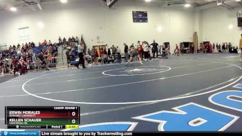149 lbs Champ. Round 1 - Kellen Schauer, Concordia MN vs Erwin Morales, Elmhurst University