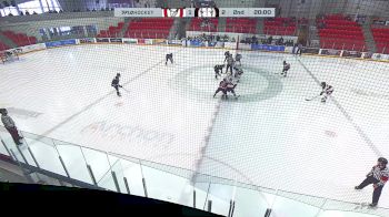 Replay: Home - 2025 Calgary Bisons vs Rebels | Mar 1 @ 1 PM