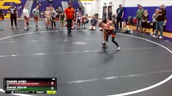 65 lbs Round 3 (6 Team) - Tanner James, Palmetto State Wrestling Academy vs Sophia Seguin, Summerville