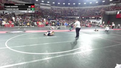 90 lbs Champ. Round 1 - Luke Jackson, Winneconne vs Theron Miller, Mauston Talons Wrestling Club