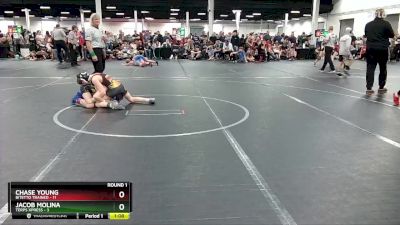 84 lbs Round 1 (8 Team) - Jacob Molina, Terps Xpress vs Chase Young, Bitetto Trained