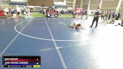 138 lbs Quarterfinal - Zach Benson, CO vs Ames-Michael Hoevker, CA