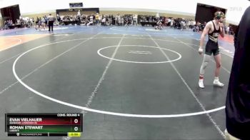 132 lbs Cons. Round 4 - Roman Stewart, Liberty vs Evan Vielhauer, Basehor-Linwood HS