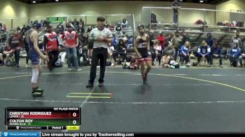 110 lbs Placement (4 Team) - Colton Roy, Dundee Blue vs Christian Rodriguez, Lapeer
