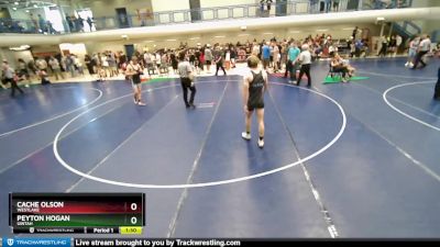 138 lbs Quarterfinal - Peyton Hogan, Uintah vs Cache Olson, Westlake