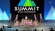 Dancin with Roxie - Brave [2025 Mini - Contemporary/Lyrical - Large Finals] 2025 The Dance Summit