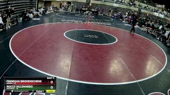 121 lbs Round 3 (4 Team) - Rocco Iallonardo, Hastings vs Finnegan Bromenschenkel, Anoka