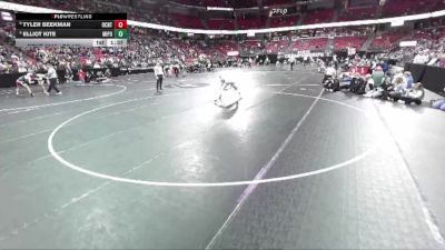 D3-132 lbs Champ. Round 1 - Tyler Beekman, Oconto vs Elliot Kite, Mineral Point