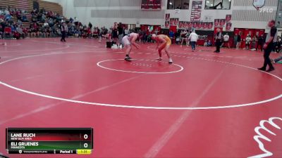 189 lbs Semifinal - Lane Ruch, New Ulm Area vs Eli Gruenes, Minneota