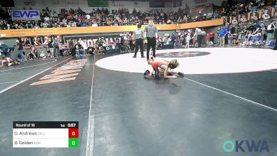 43 lbs Round Of 16 - Dane Andrews, Carl Albert vs Bo Golden, Team Nomad