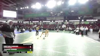 182 lbs Quarterfinal - Thomas Farmer, Eagle vs Greysen Dormier, Mountain View