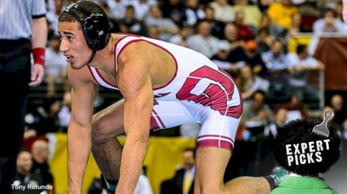 Expert Picks - The Most Important Ones!