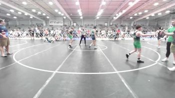 100 lbs Rr Rnd 2 - Cole Desiano, CTWHALE vs Bryson Clark, Pursuit Wrestling Academy - Silver