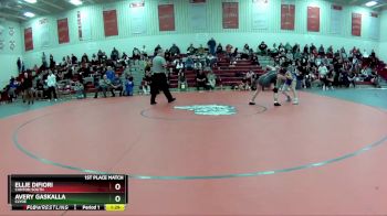 100 lbs 1st Place Match - Ellie Difiori, Canton South vs Avery Gaskalla, Clyde