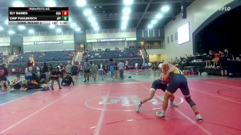 149 lbs Cons. Round 3 - Chip Fahlbusch, Mount Vernon vs Ely Raines, Reinhardt University (GA)