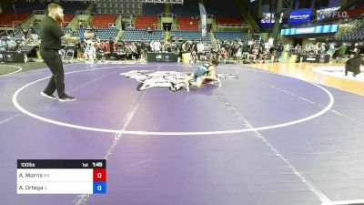 100 lbs Cons 32 #1 - Aiden Morris, MA vs Aidan Ortega, IL