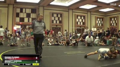 49 lbs Finals (8 Team) - BENNETT HARMON, Keystone Krush vs Gianni Puorro, Yale Street WC